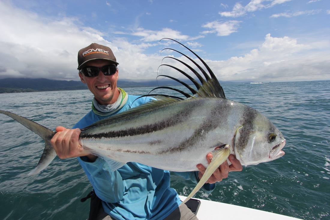 Roosterfish Fishing in Costa Rica - sportfishing in costa rica